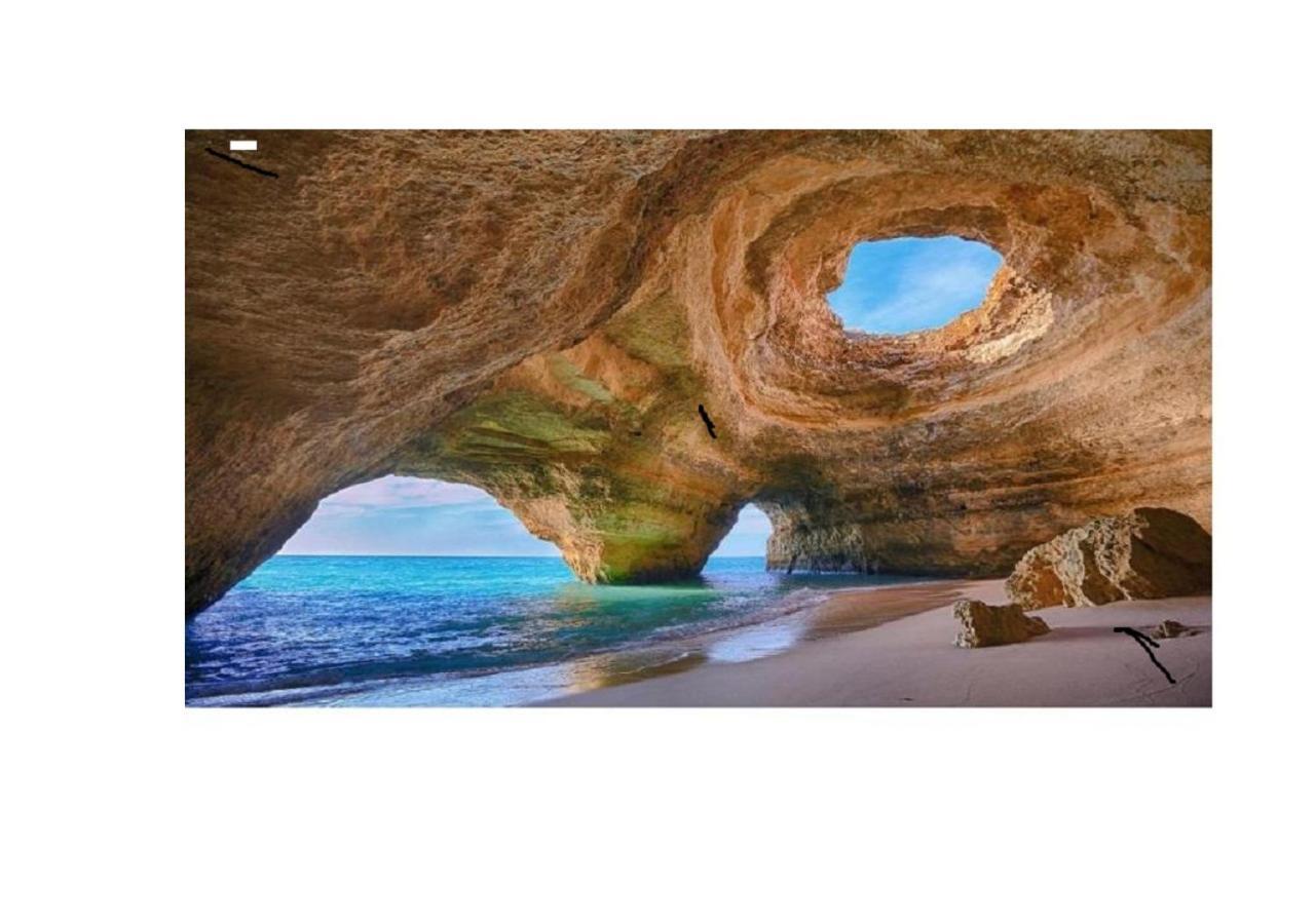Sea & You Algarve Apartment Lagos Extérieur photo